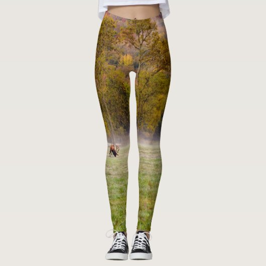 Weideleich Leggings (Vorderseite)