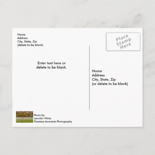 Weideleiche Postkarte (Rückseite)