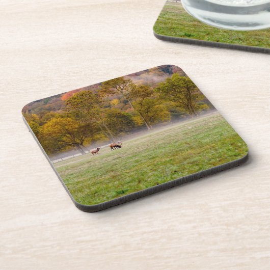 Weideleiche Untersetzer Set 6 (Linke Seite)