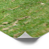 Weidelgras Poster (Ecke)