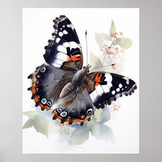 Weidemeyer's Admiral Butterfly Art Print Poster (Vorne)