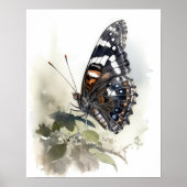 Weidemeyer's Admiral Butterfly Art Print Poster (Vorne)