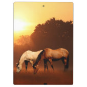 Weiden lassen der Pferde an der Dämmerung Klemmbrett (Rückseite)