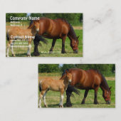 Weiden lassen der PferdeFamilienunternehmen-Karte Visitenkarte (Vorne/Hinten)