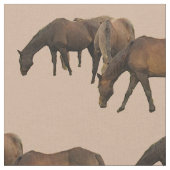 Weiden lassen des Pferdegewebes Stoff (Nahaufnahme)