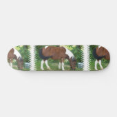 Weiden lassen des Pony-Skateboards Skateboard (Horizontal)