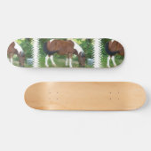 Weiden lassen des Pony-Skateboards Skateboard (Horizontal)