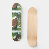 Weiden lassen des Pony-Skateboards Skateboard (Vorderseite)