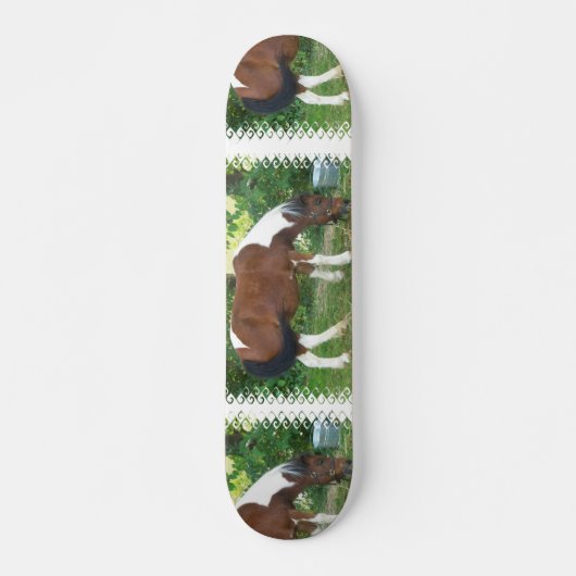 Weiden lassen des Pony-Skateboards Skateboard (Vorne)