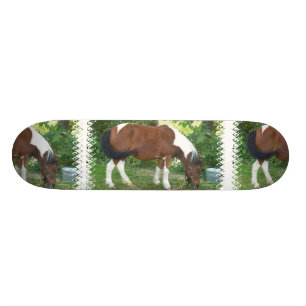 Weiden lassen des Pony-Skateboards Skateboard