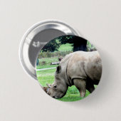 Weiden lassen des weißen Nashorn-Knopfes Button (Vorne & Hinten)
