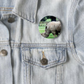 Weiden lassen des weißen Nashorn-Knopfes Button (Beispiel)