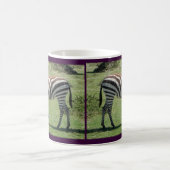 Weiden lassen des Zebra, der Zebra weiden lässt Kaffeetasse (Mittel)