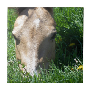 Weiden lassen im Gras Fliese