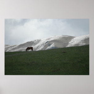 Weiden lassen poster