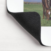 Weiden lassen von Appaloosa Mousepad (Ecke)