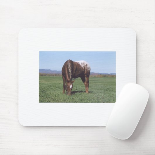 Weiden lassen von Appaloosa Mousepad (Mit Mouse)
