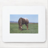 Weiden lassen von Appaloosa Mousepad (Vorne)