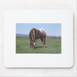 Weiden lassen von Appaloosa Mousepad