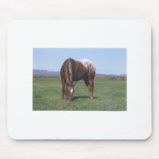 Weiden lassen von Appaloosa Mousepad (Vorne)