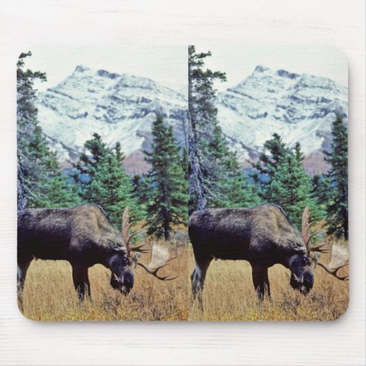 Weiden lassen von Stier-Elchen Mousepad (Vorne)