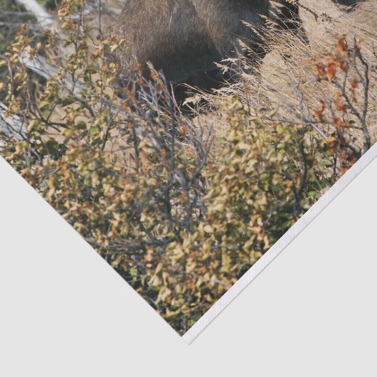 Weiden lassen von Stier-Elchen Seidenpapier (Ausschnitt)