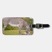 Weiden lassen von Zebra Gepäckanhänger (Vorderseite horizontal)