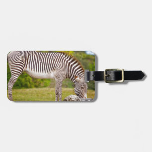 Weiden lassen von Zebra Gepäckanhänger