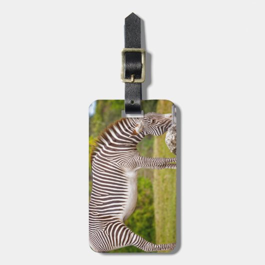 Weiden lassen von Zebra Gepäckanhänger (Vorderseite vertikal)