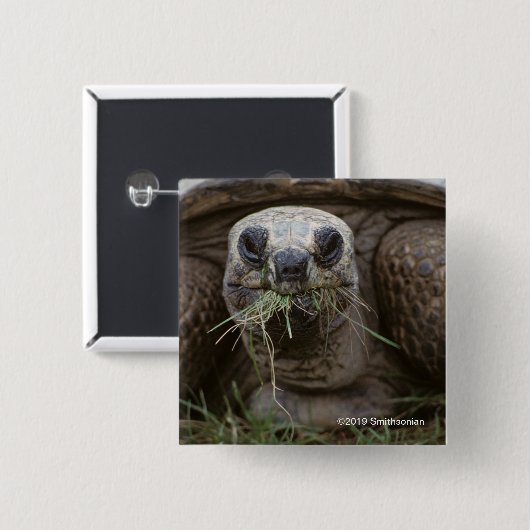 Weiden lassende Aldabra Schildkröte Button (Vorne & Hinten)