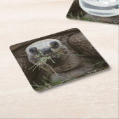 Weiden lassende Aldabra Schildkröte Rechteckiger Pappuntersetzer (angewinkelt)