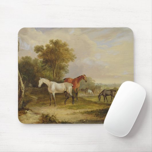 Weiden lassende Pferde: Ein grauer Stallion, der Mousepad (Mit Mouse)