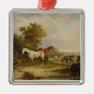 Weiden lassende Pferde: Ein grauer Stallion, der Silbernes Ornament