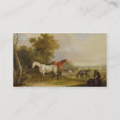 Weiden lassende Pferde: Ein grauer Stallion, der Visitenkarte (Rückseite)