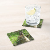 Weiden lassende Snowshoehasen Rechteckiger Pappuntersetzer (Vor Ort)