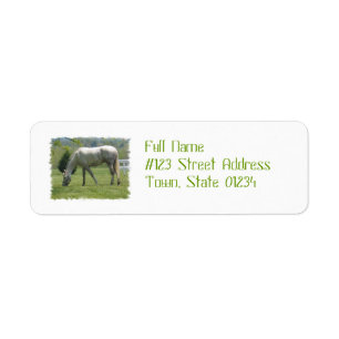 Weiden lassender Appaloosa