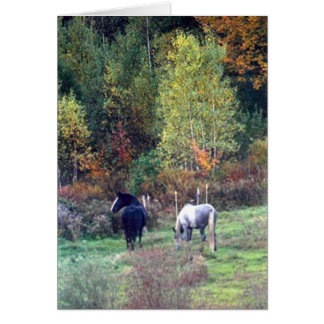 Weiden lassender Fall - Kiefern-Ridge-Bauernhof
