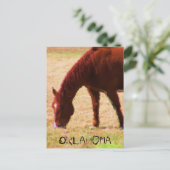 Weiden Postkarte (Stehend Vorderseite)