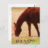 Weiden Postkarte (Vorne/Hinten)