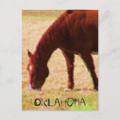 Weiden Postkarte (Vorderseite)