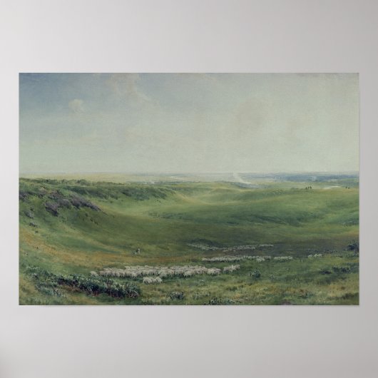 Weiden, Sussex Poster (Vorne)