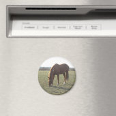 Weiden von Nutzpferden Magnet (In Situ (Geschirrspüler))