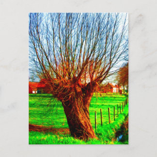 Weidenbaum in traditioneller flämischer Landschaft Postkarte