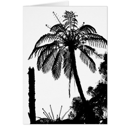 Weidenbäume, Silberweste Silhouette / Neuseeland (Vorne)