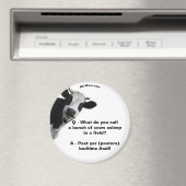 Weidenbehandlungen Andi Fun Magnet (In Situ (Geschirrspüler))