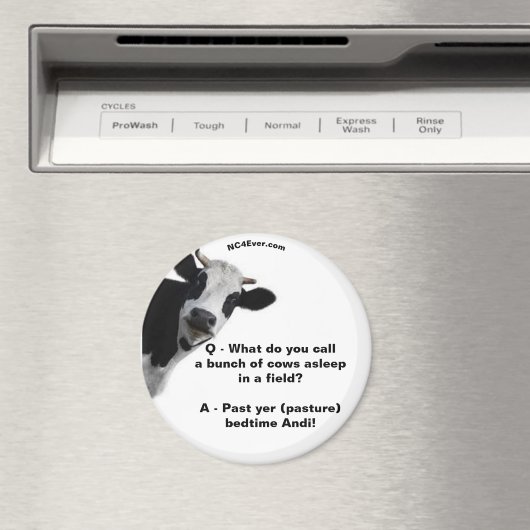 Weidenbehandlungen Andi Fun Magnet (In Situ (Geschirrspüler))