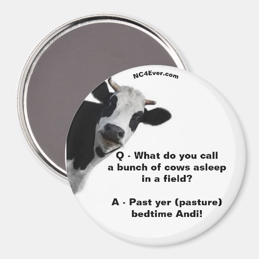 Weidenbehandlungen Andi Fun Magnet (Vorderseite/Rückseite)