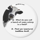 Weidenbehandlungen Andi Fun Magnet (Vorne)