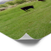 Weidende Rinder v2 Poster (Ecke)