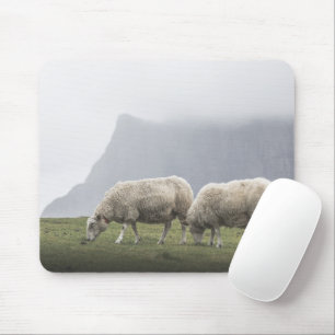 Weidende Schafe Foto Mousepad